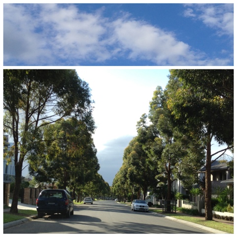 20111214-210311.jpg
